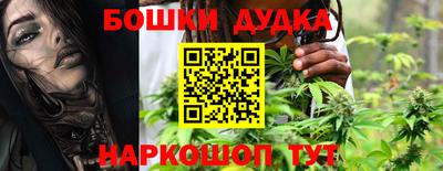 индика Боровичи