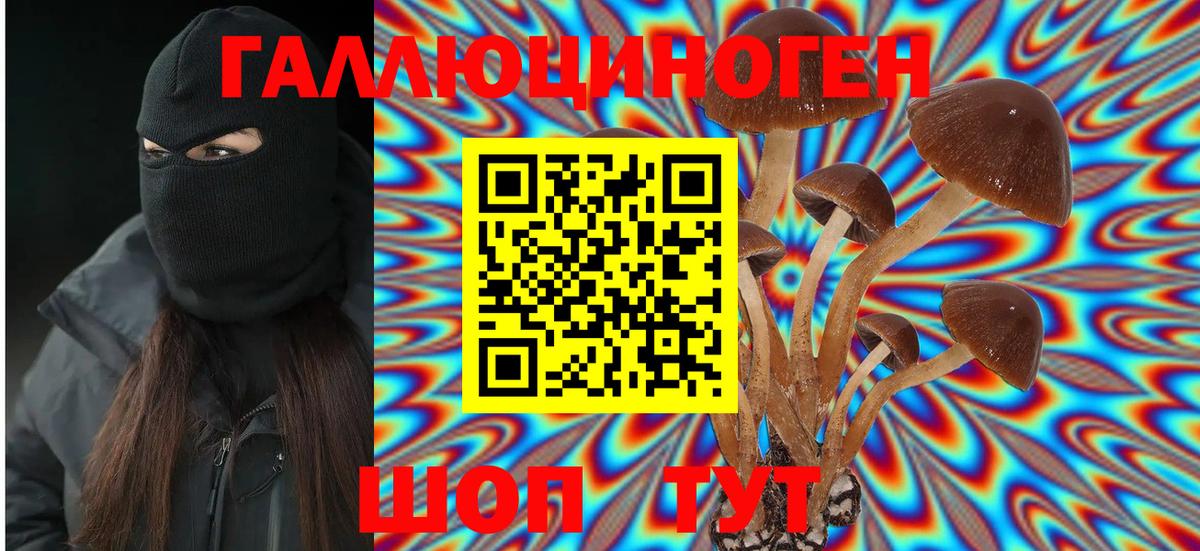 Галлюциногенные грибы Psilocybine cubensis  Вход с VPN  Ялта 